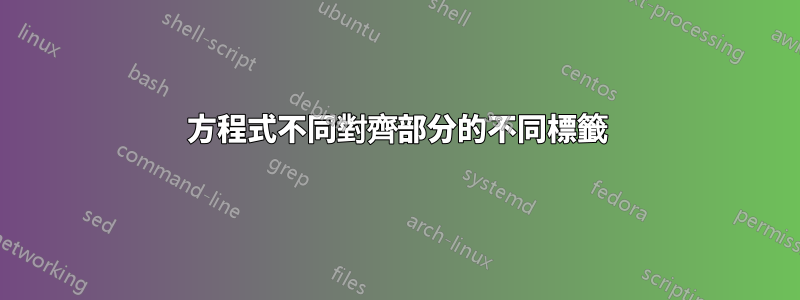 方程式不同對齊部分的不同標籤