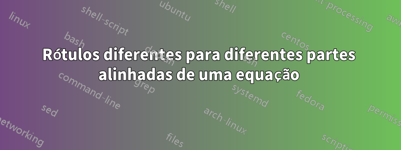 Rótulos diferentes para diferentes partes alinhadas de uma equação