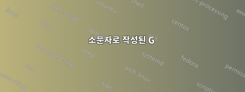 소문자로 작성된 G