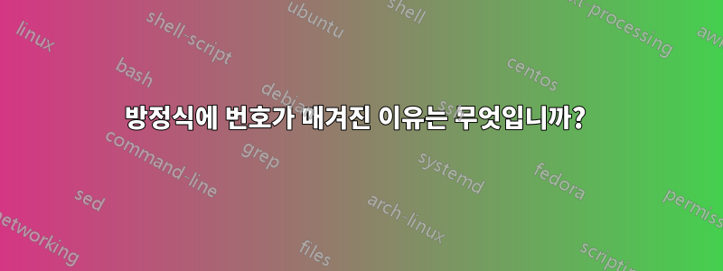 방정식에 번호가 매겨진 이유는 무엇입니까? 
