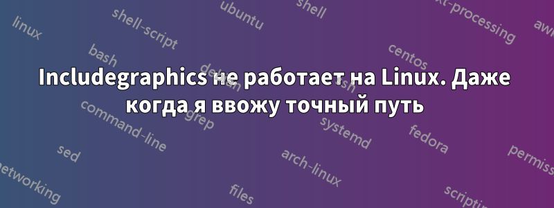Includegraphics не работает на Linux. Даже когда я ввожу точный путь