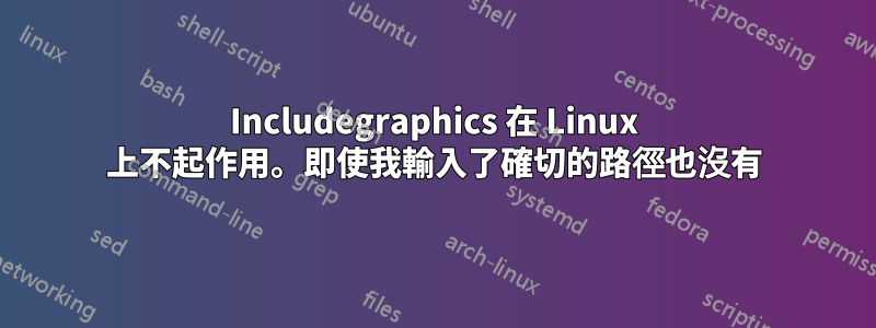 Includegraphics 在 Linux 上不起作用。即使我輸入了確切的路徑也沒有