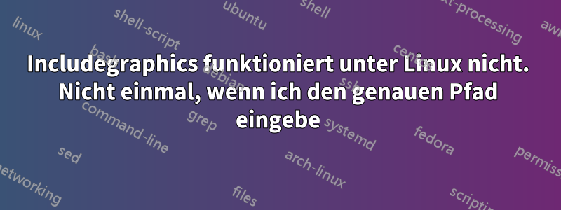 Includegraphics funktioniert unter Linux nicht. Nicht einmal, wenn ich den genauen Pfad eingebe