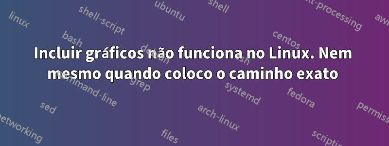 Incluir gráficos não funciona no Linux. Nem mesmo quando coloco o caminho exato