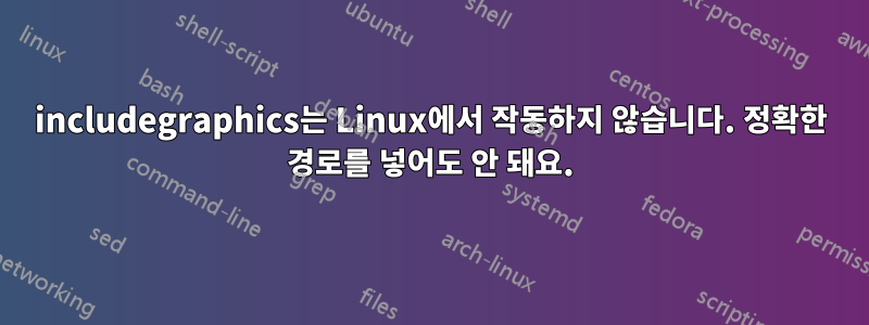 includegraphics는 Linux에서 작동하지 않습니다. 정확한 경로를 넣어도 안 돼요.