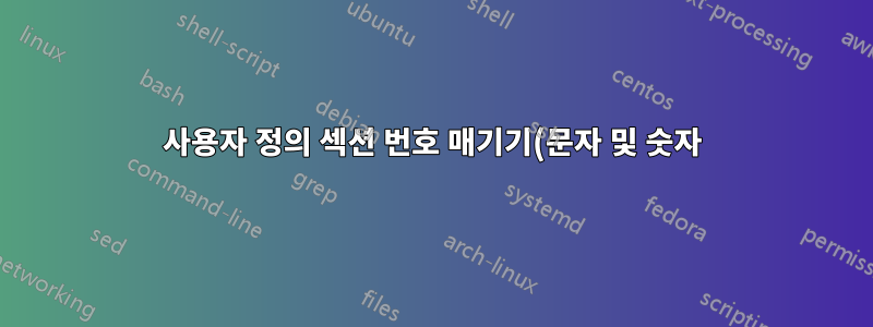 사용자 정의 섹션 번호 매기기(문자 및 숫자)