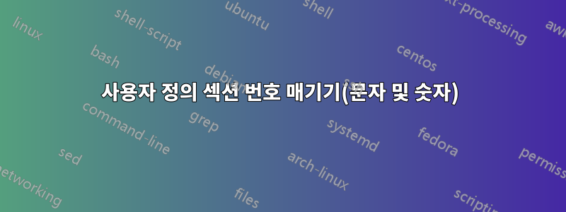 사용자 정의 섹션 번호 매기기(문자 및 숫자)