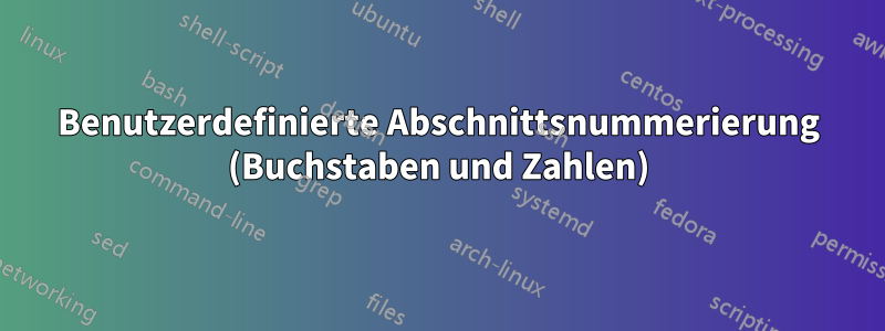 Benutzerdefinierte Abschnittsnummerierung (Buchstaben und Zahlen)
