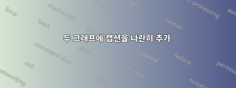 두 그래프에 캡션을 나란히 추가