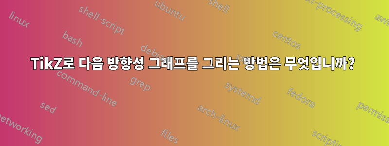 TikZ로 다음 방향성 그래프를 그리는 방법은 무엇입니까?