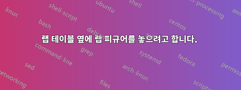 랩 테이블 옆에 랩 피규어를 놓으려고 합니다.
