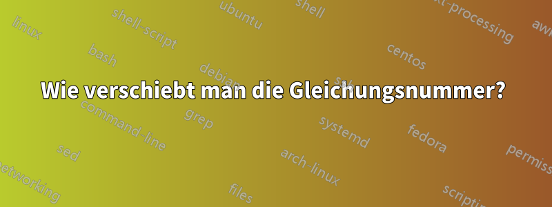 Wie verschiebt man die Gleichungsnummer?