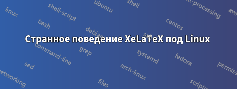 Странное поведение XeLaTeX под Linux