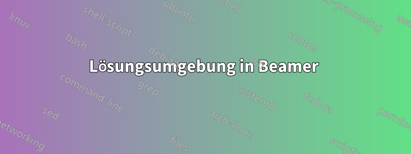 Lösungsumgebung in Beamer