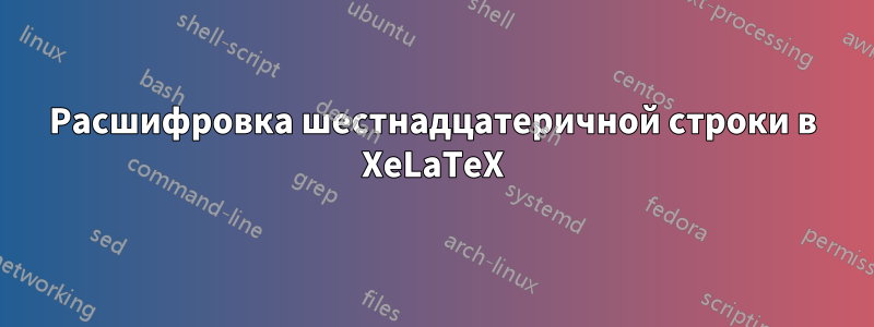 Расшифровка шестнадцатеричной строки в XeLaTeX