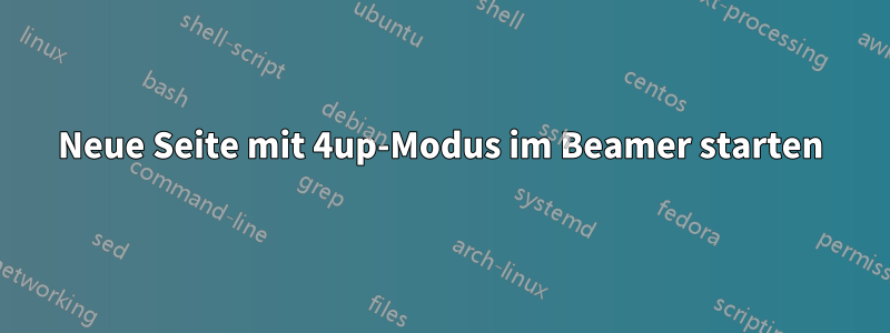 Neue Seite mit 4up-Modus im Beamer starten