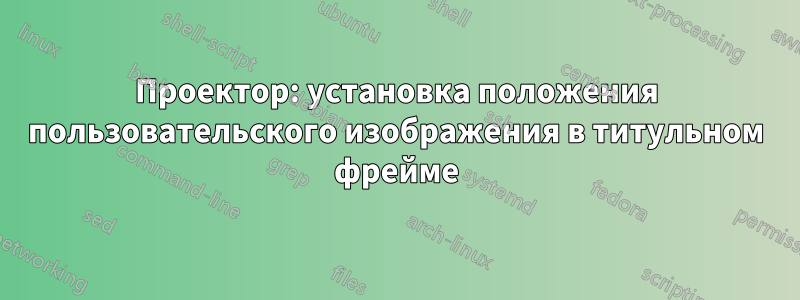 Проектор: установка положения пользовательского изображения в титульном фрейме