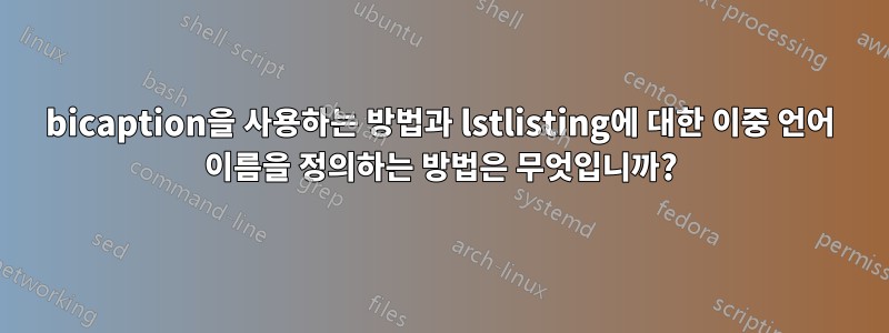 bicaption을 사용하는 방법과 lstlisting에 대한 이중 언어 이름을 정의하는 방법은 무엇입니까?