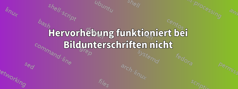 Hervorhebung funktioniert bei Bildunterschriften nicht