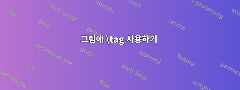 그림에 \tag 사용하기