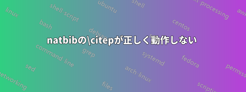 natbibの\citepが正しく動作しない