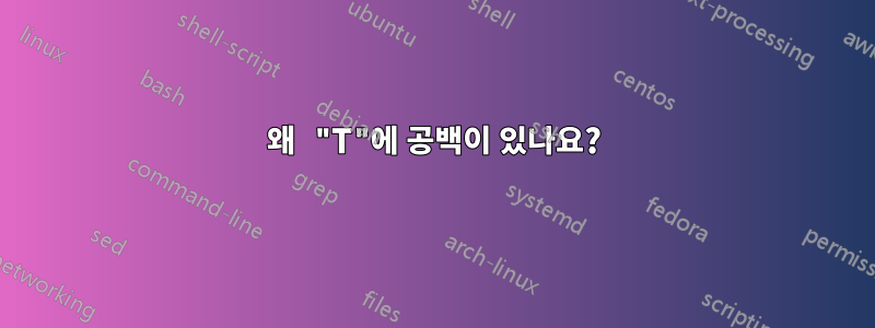 왜 "T"에 공백이 있나요?