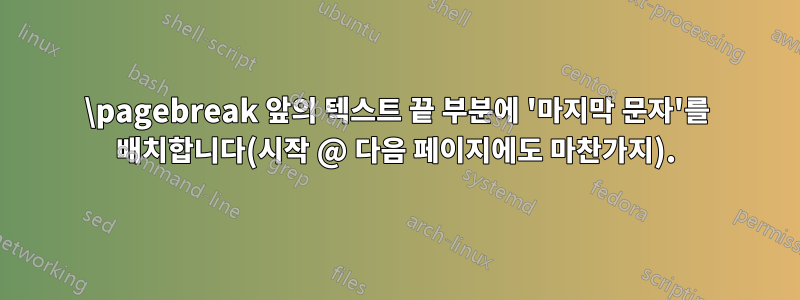 \pagebreak 앞의 텍스트 끝 부분에 '마지막 문자'를 배치합니다(시작 @ 다음 페이지에도 마찬가지).