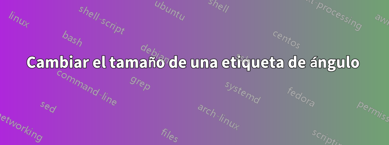 Cambiar el tamaño de una etiqueta de ángulo