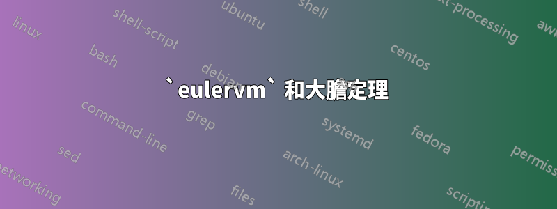 `eulervm` 和大膽定理