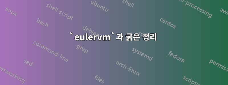 `eulervm`과 굵은 정리