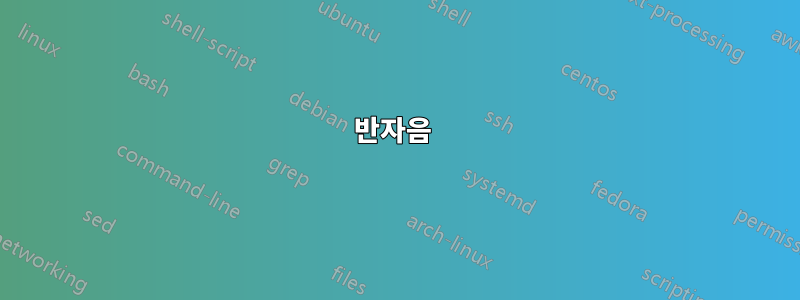 반자음 