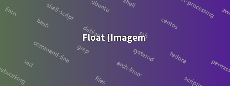 Float (Imagem) não começa de cima