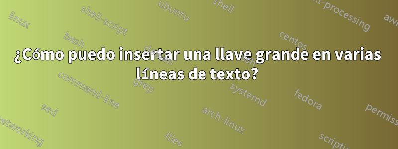 ¿Cómo puedo insertar una llave grande en varias líneas de texto?