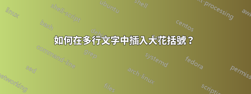 如何在多行文字中插入大花括號？