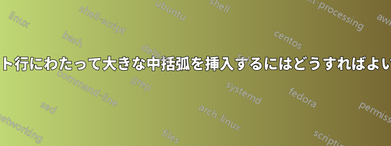 複数のテキスト行にわたって大きな中括弧を挿入するにはどうすればよいでしょうか?
