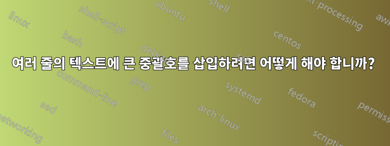 여러 줄의 텍스트에 큰 중괄호를 삽입하려면 어떻게 해야 합니까?