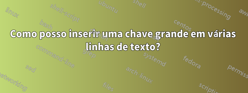 Como posso inserir uma chave grande em várias linhas de texto?