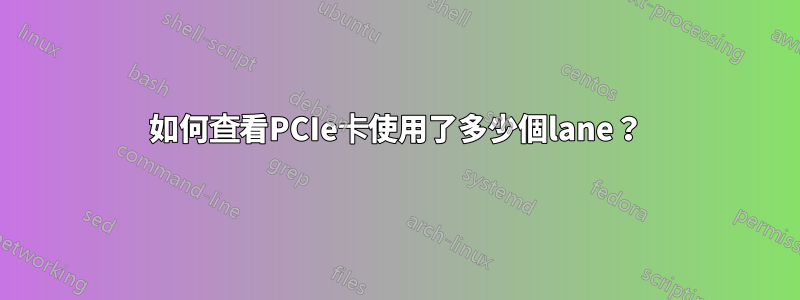 如何查看PCIe卡使用了多少個lane？