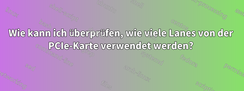Wie kann ich überprüfen, wie viele Lanes von der PCIe-Karte verwendet werden?