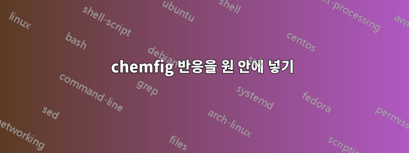 chemfig 반응을 원 안에 넣기