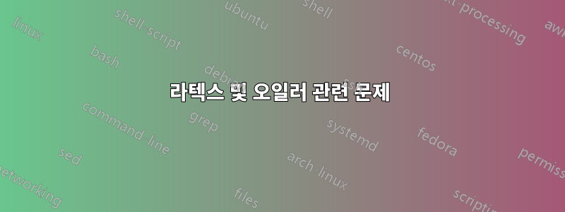 라텍스 및 오일러 관련 문제