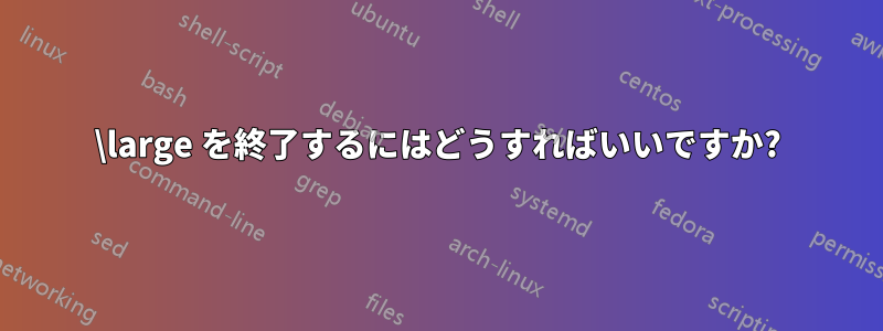 \large を終了するにはどうすればいいですか?