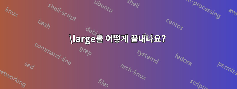 \large를 어떻게 끝내나요?