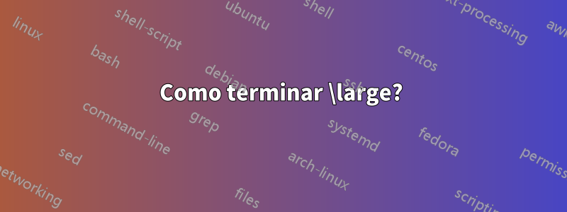 Como terminar \large?