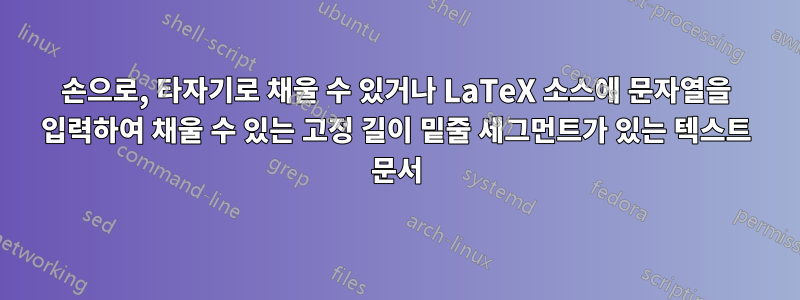 손으로, 타자기로 채울 수 있거나 LaTeX 소스에 문자열을 입력하여 채울 수 있는 고정 길이 밑줄 세그먼트가 있는 텍스트 문서