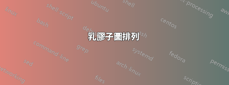 乳膠子圖排列