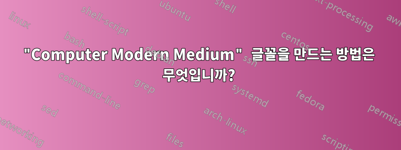 "Computer Modern Medium" 글꼴을 만드는 방법은 무엇입니까?