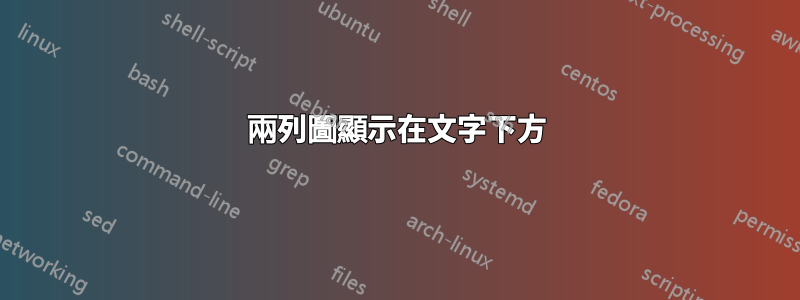 兩列圖顯示在文字下方