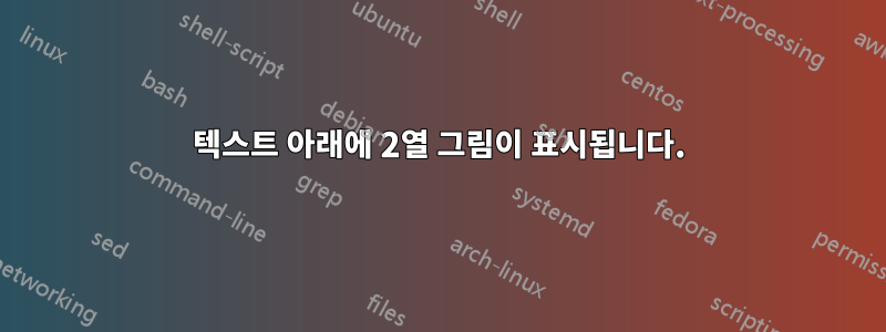 텍스트 아래에 2열 그림이 표시됩니다.