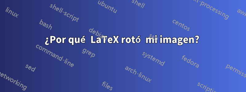 ¿Por qué LaTeX rotó mi imagen?